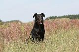 BEAUCERON 212